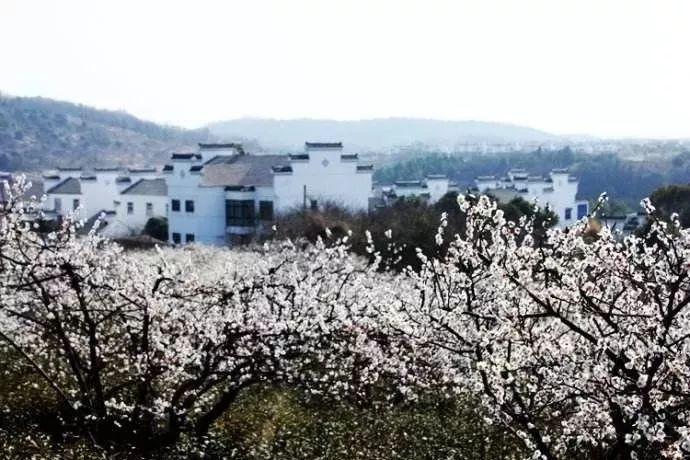 妙鸭相机app下载官网