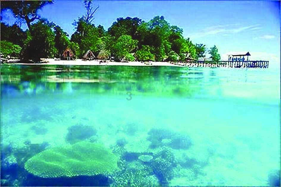 探索世界,尽在2023年10月份黄道吉日开灶蜗牛问答平台